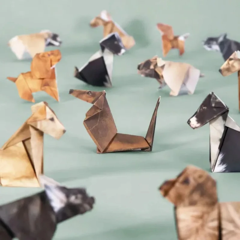 Gatos de Papel Criativos DIY,  - Art Craft Dinosaur avaliação e preço